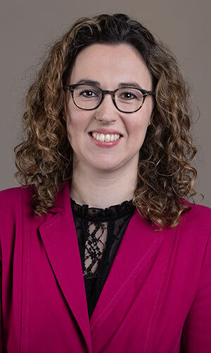 mr. P. (Petry) Schapendonk